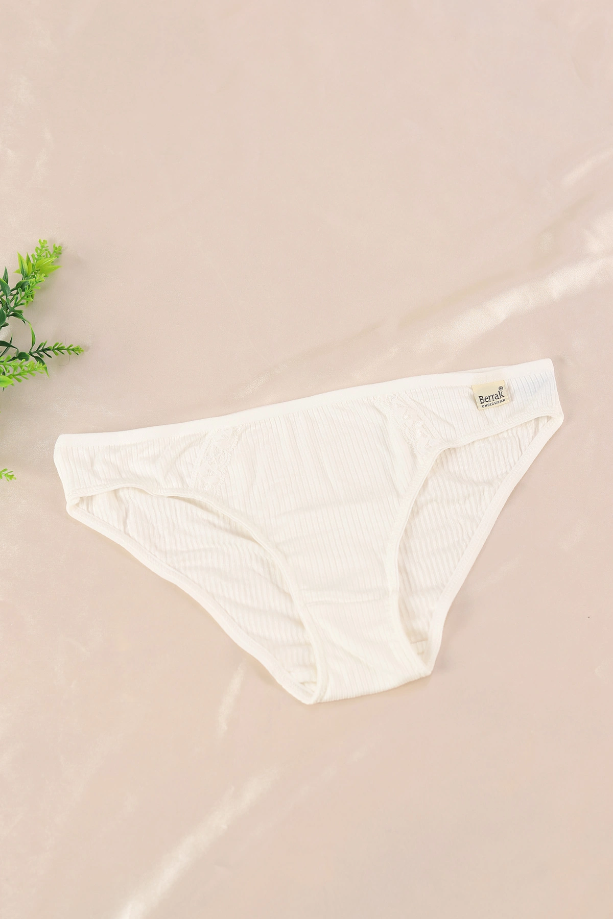Ekru Berrak Dantel İşlemeli Kadın Bikini Külot 370211