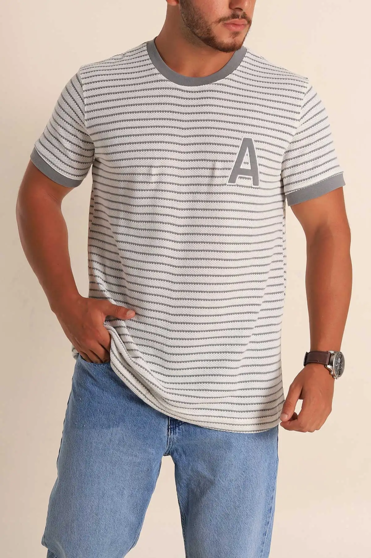 Ekru Gri Çizgili Regular Fit Nakış Yazı Detaylı Erkek Triko Tişört 268453