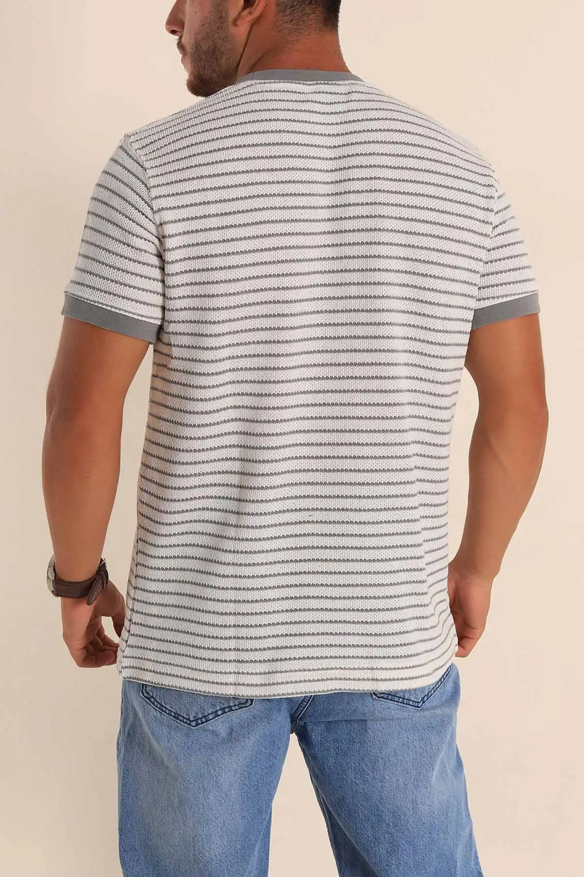 Ekru Gri Çizgili Regular Fit Nakış Yazı Detaylı Erkek Triko Tişört 268453