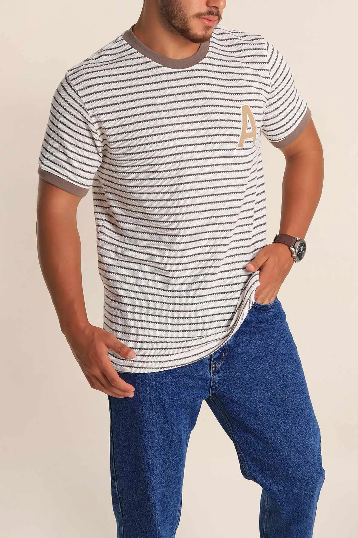 Ekru Vizon Çizgili Regular Fit Nakış Yazı Detaylı Erkek Triko Tişört 268454