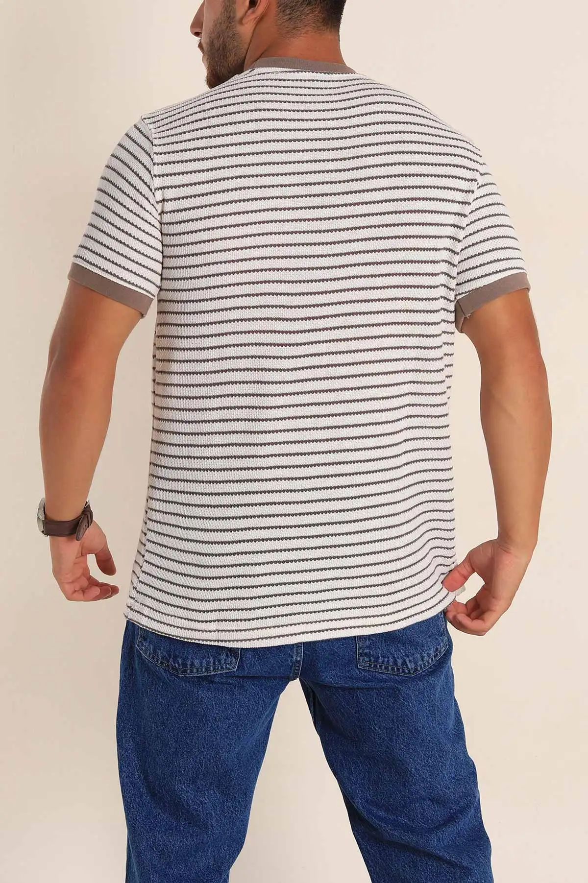 Ekru Vizon Çizgili Regular Fit Nakış Yazı Detaylı Erkek Triko Tişört 268454