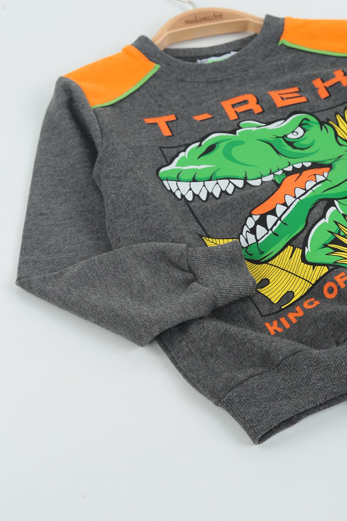 Füme (4-8 Yaş) T-Rex Dinosaur Baskılı İki İp Erkek Çocuk Takım 137552