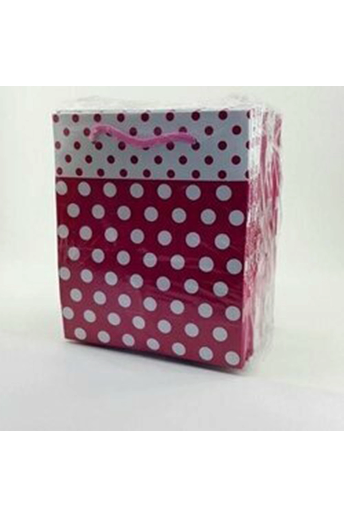 Fuşya 14*17 Puantiyelli 5'li Çanta 302878