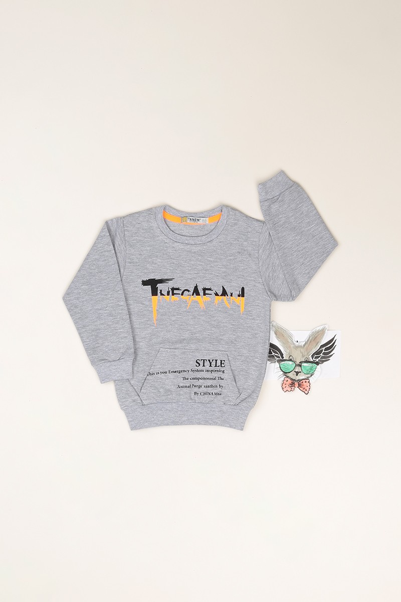 Gri (1-4 Yaş) Tnecaemni Baskılı Erkek Çocuk Sweatshirt 82531