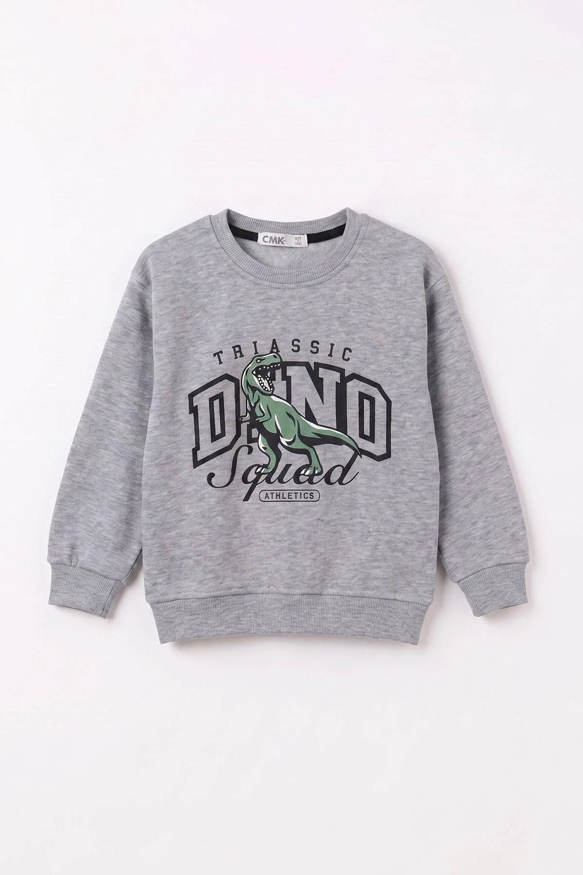 Gri (3-12 Yaş) Dino Baskılı 3 İp Şardonlu Erkek Çocuk Sweatshirt 483910