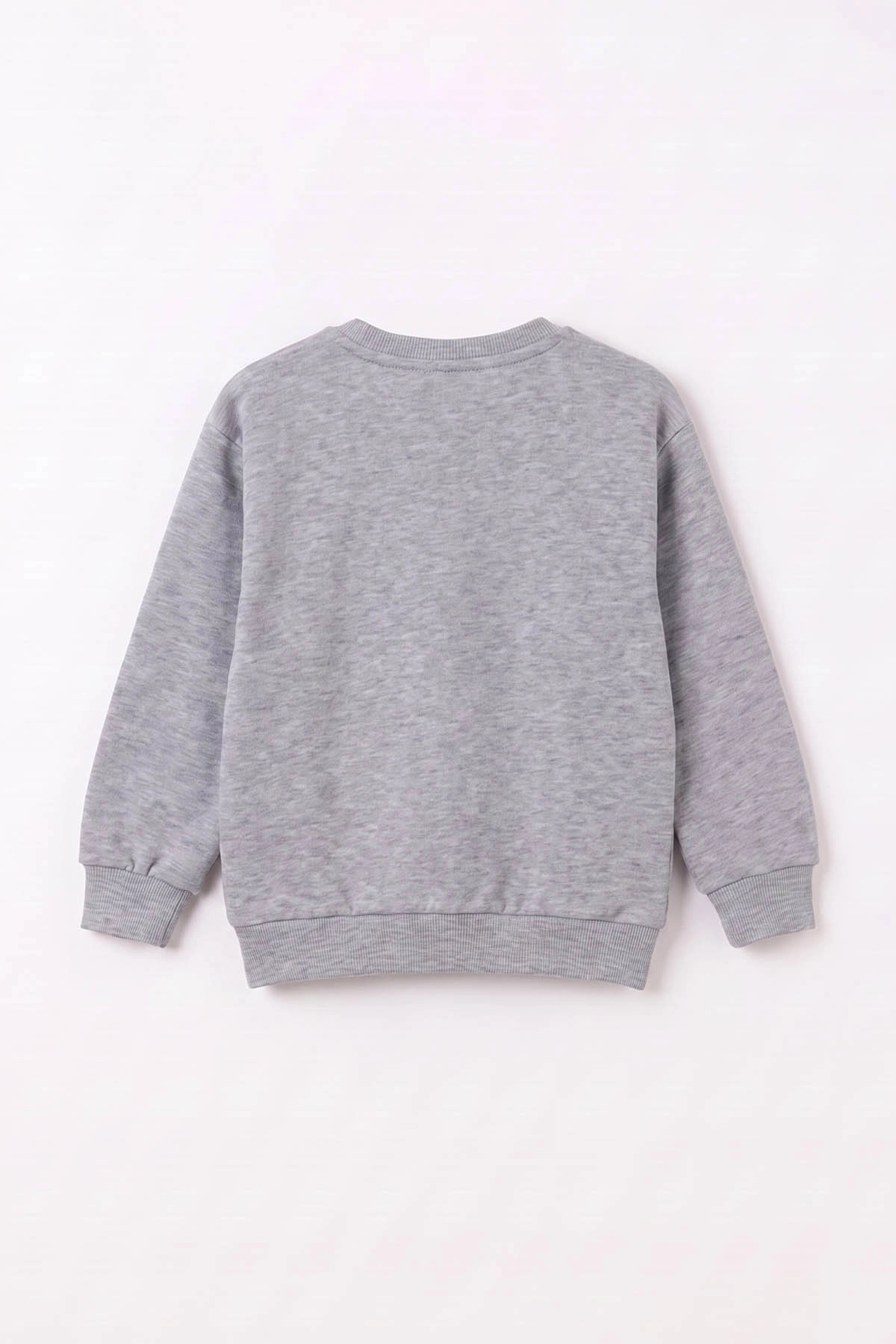 Gri (3-12 Yaş) Dino Baskılı 3 İp Şardonlu Erkek Çocuk Sweatshirt 483910