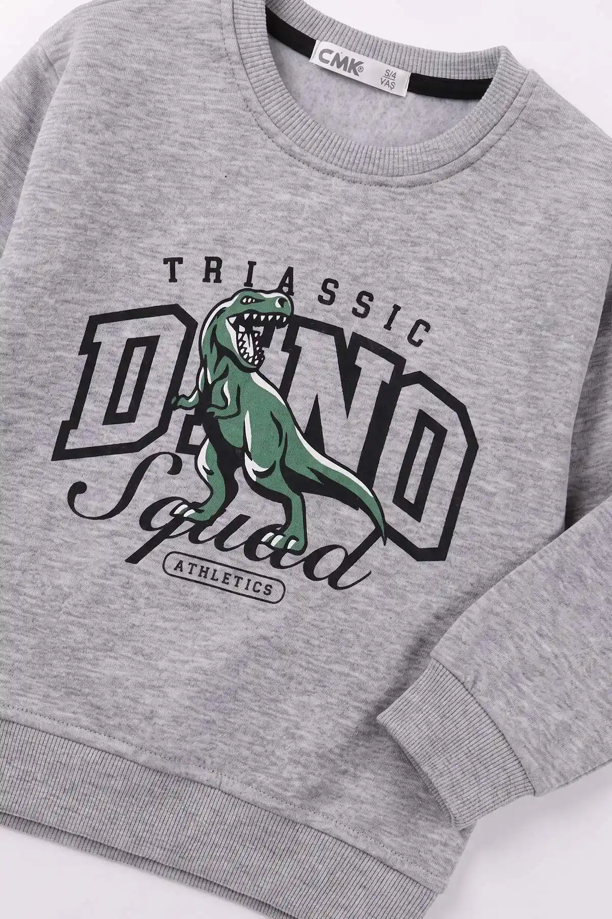 Gri (3-12 Yaş) Dino Baskılı 3 İp Şardonlu Erkek Çocuk Sweatshirt 483910