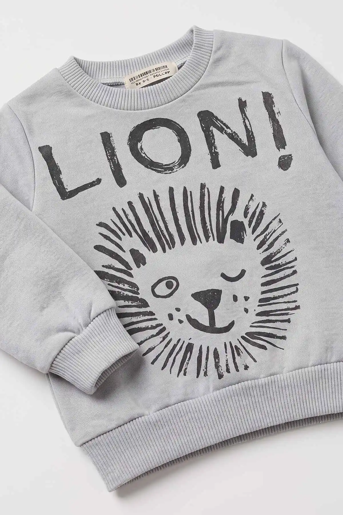 Gri (3-18 Ay) Lion  Baskılı 2 İp Erkek Bebek Mevsimlik Takım 481164