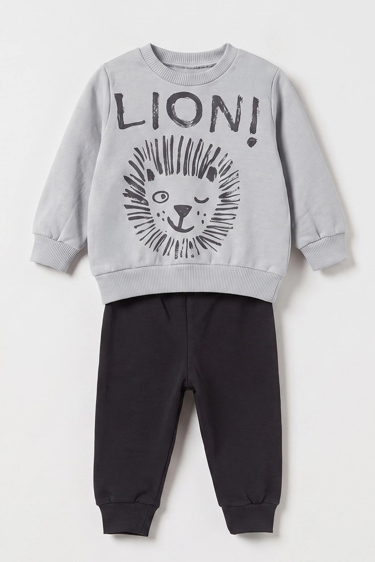 Gri (3-18 Ay) Lion  Baskılı 2 İp Erkek Bebek Mevsimlik Takım 481164