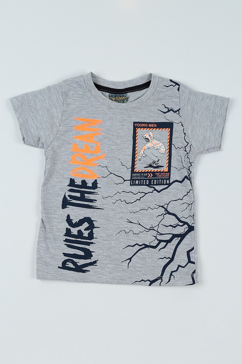 Gri (3-7 Yaş) Street Style Erkek Çocuk Tişört 94536