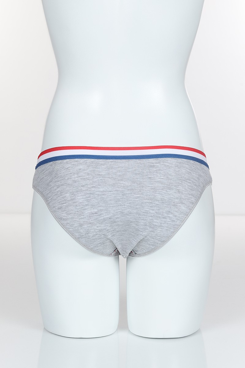 Gri 4309 Bikini Pamuk Lave Secret Baskılı Külot 101802