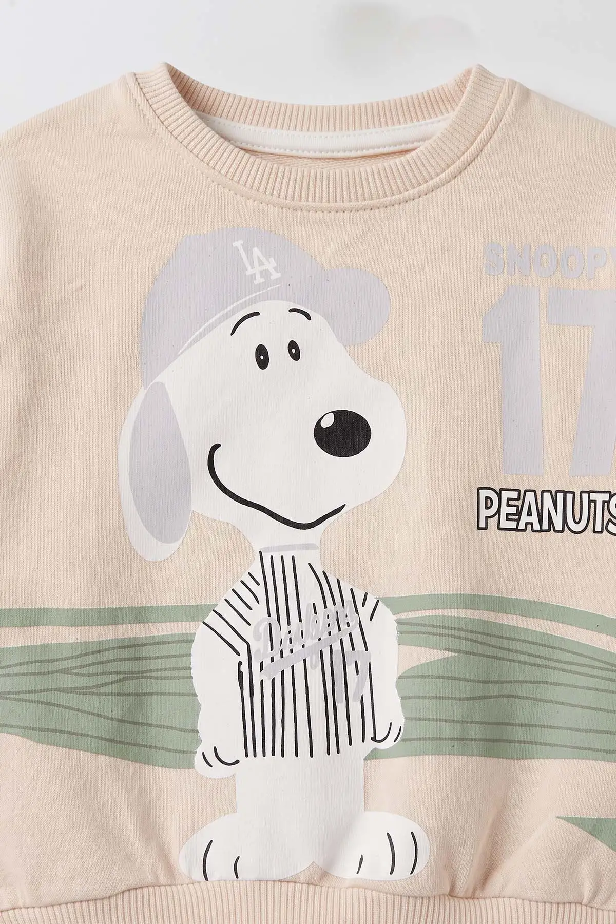 Gri (6-24 Ay) Snoopy  Baskılı  2 İp Erkek Bebek Takım 479029