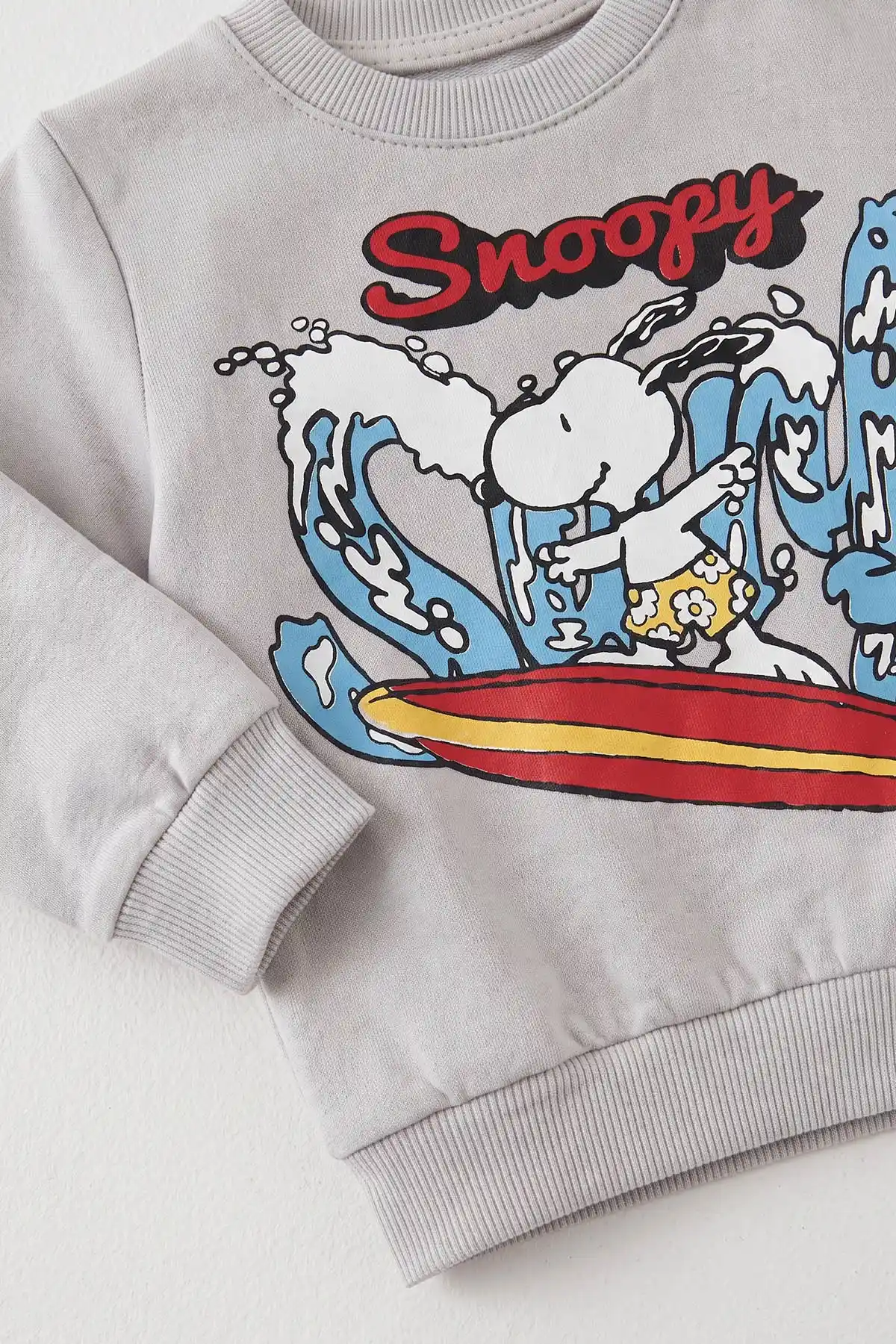 Gri (6-24 Ay) Snoopy Baskılı 2 İp Erkek Bebek Takım 480133
