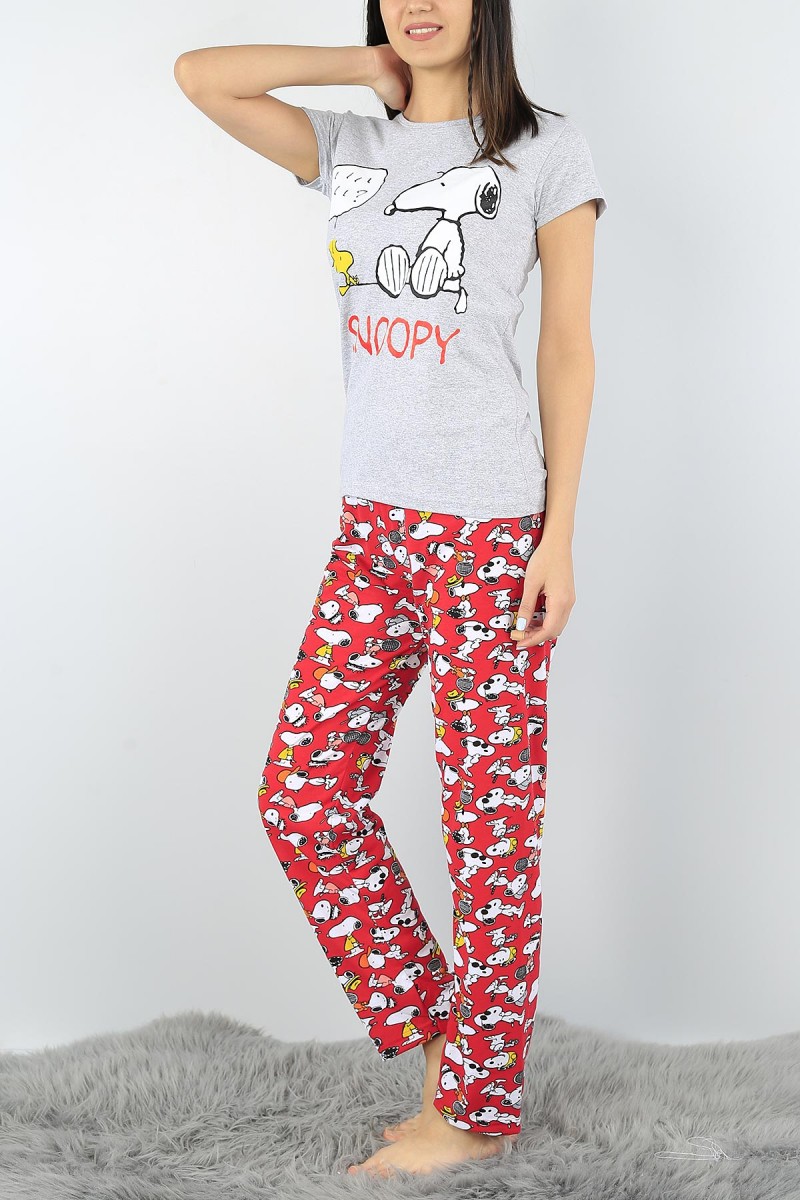 Gri Baskılı Bayan Pijama Takımı 52372