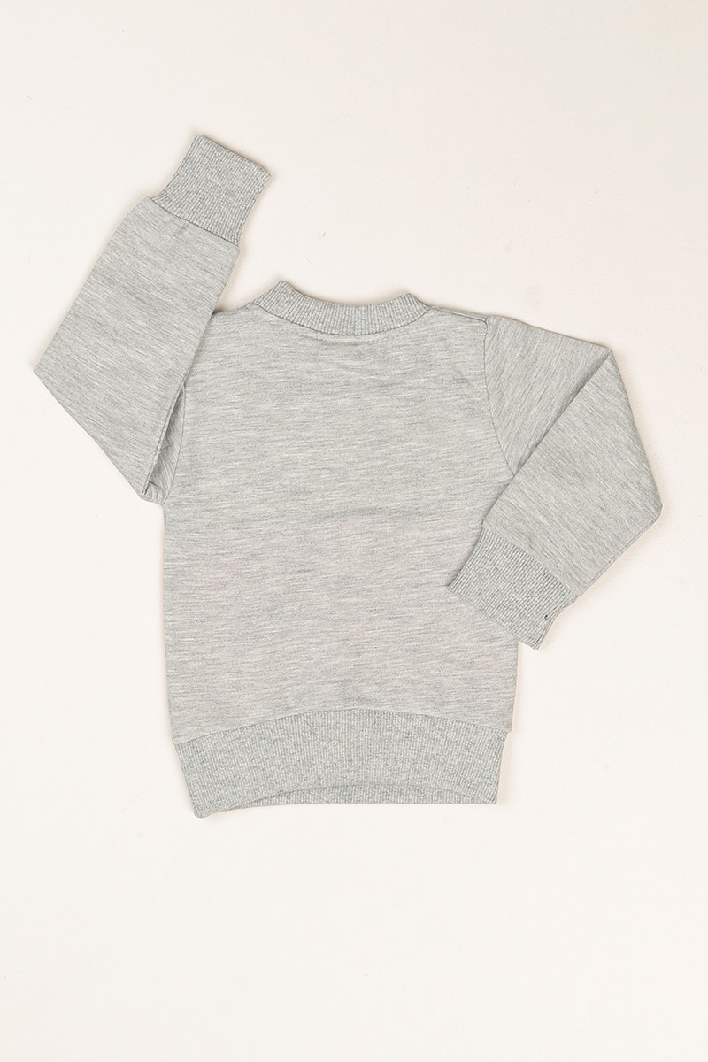 Gri Birds Baskılı İçi Şardonlu Kız Çocuk Sweatshirt 80609