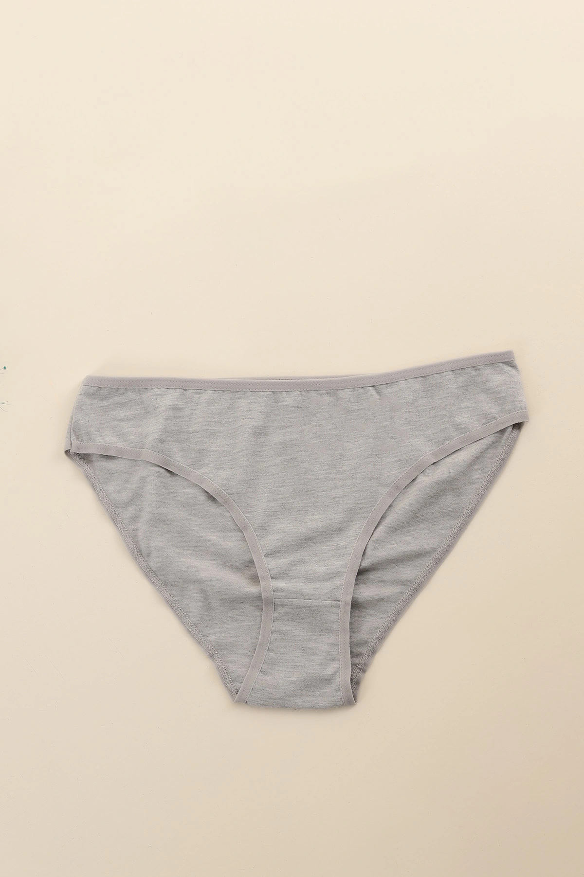 Gri CH0850 Pamuklu Kadın Bikini Külot 288450
