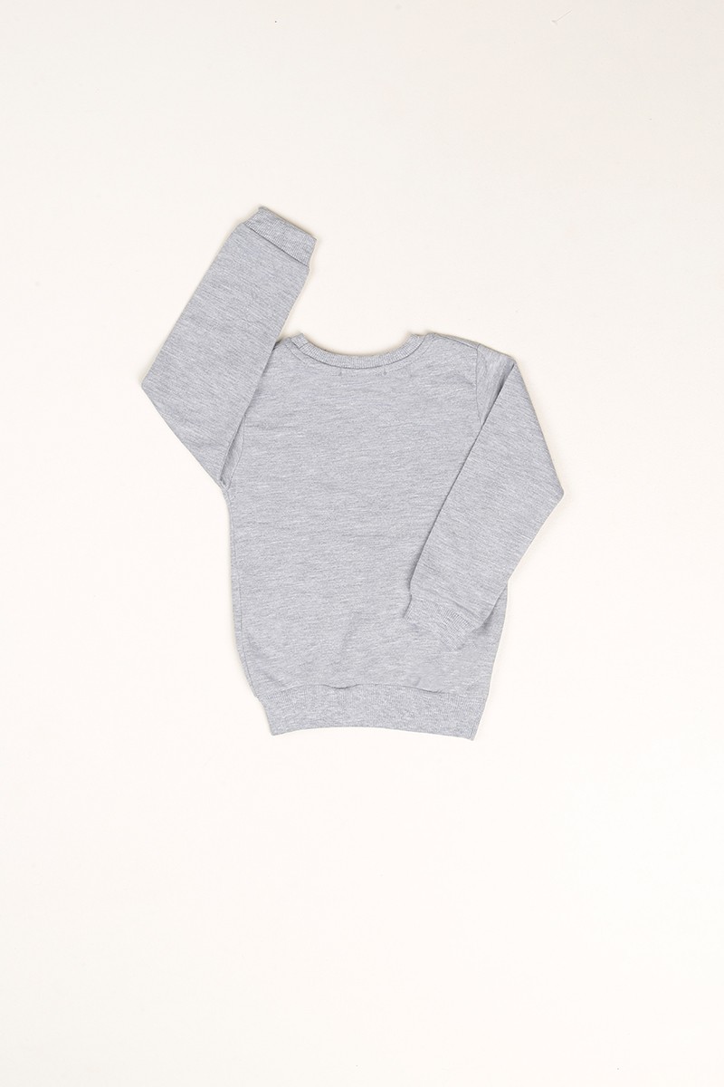 Gri İçi Şardonlu Monster Baskılı Erkek Çocuk Sweat 80975