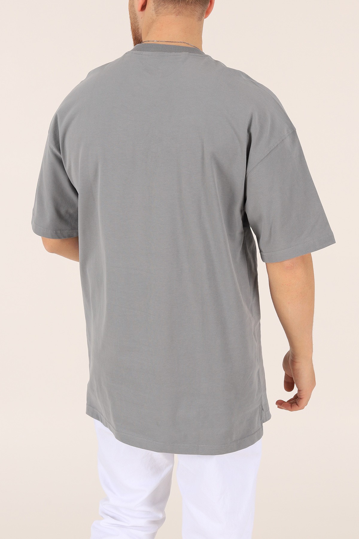 Gri Labish Styles Baskılı Tişört 165657