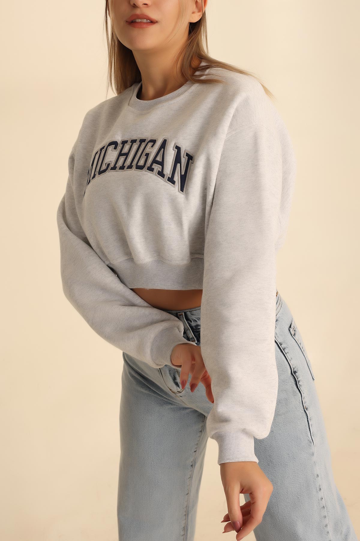 Gri Nakışlı Şardonlu Bayan Sweat 216653
