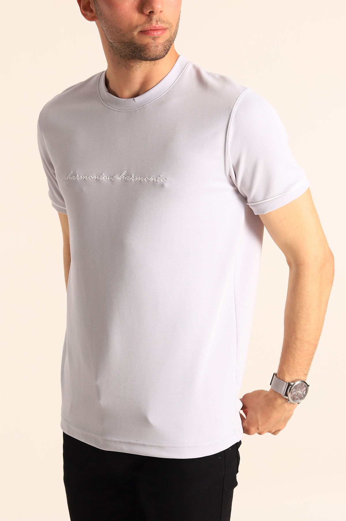 Gri Regular Fit Dokulu Nakışlı Yazı Detay Erkek Tişört 182162