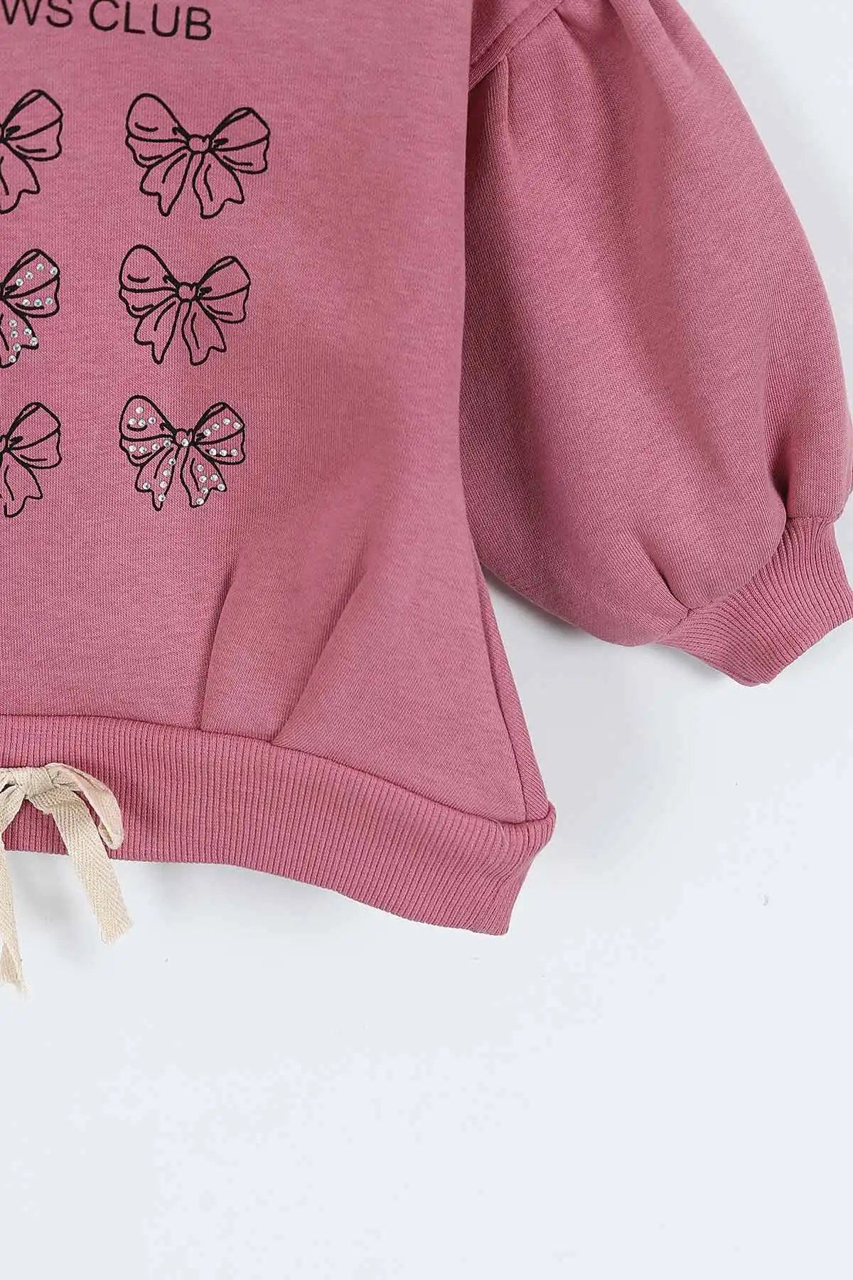 Gül Kurusu (0-4 Yaş) Fiyonk ve Taş Baskılı 3  İp Şardonlu Kız Çocuk Sweatshirt 415024