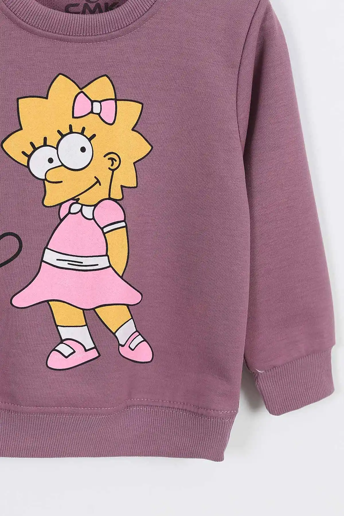 Gül Kurusu (3-11 Yaş) Karakter Baskılı Kız Çocuk Sweatshirt 297022