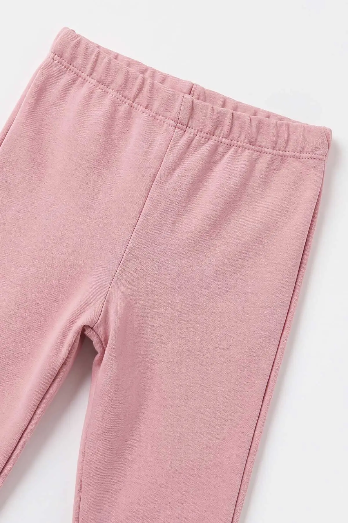 Gül Kurusu (6-18 Ay) Ayıcık Baskılı İki İplik 3'lü Kız Bebek Takım 492665
