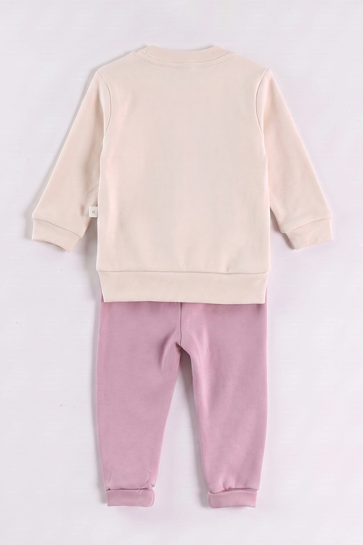Gül Kurusu (6-24 Ay) Süzene Bunny Nakışlı Kız Bebek 2'li Takım 472861