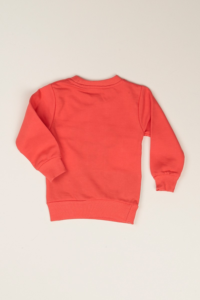 Gül Kurusu Pul İşlemeli Şardonlu Kız Çocuk Sweat 77533