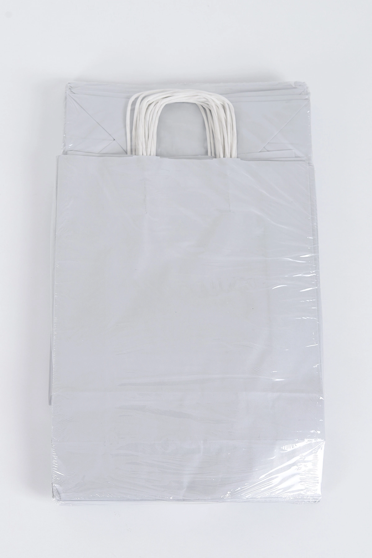 Gümüş 31x12x41 Büküm Saplı Çanta 5'li 301141