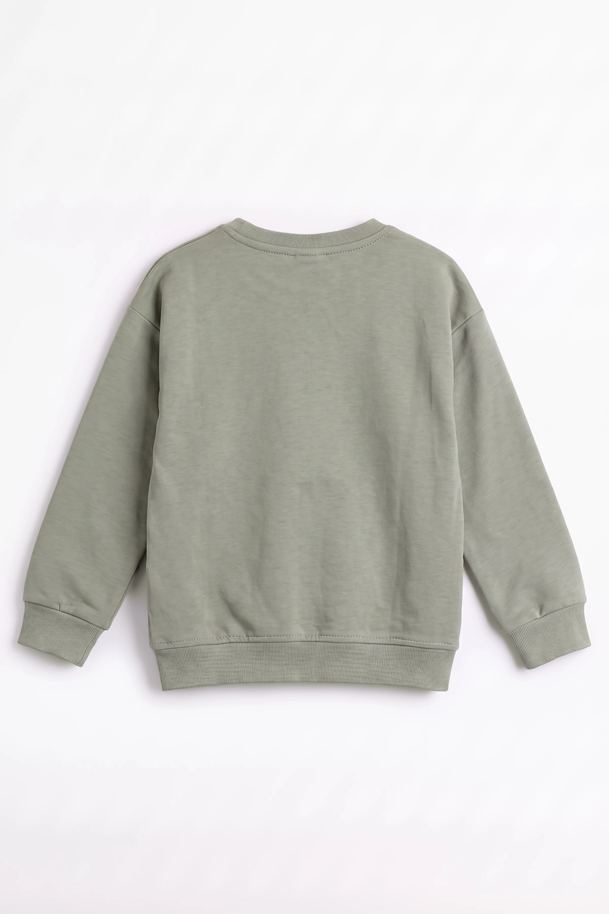 Haki (3-12 Yaş) Dont Give Baskılı Erkek Çocuk Sweatshirt 479163