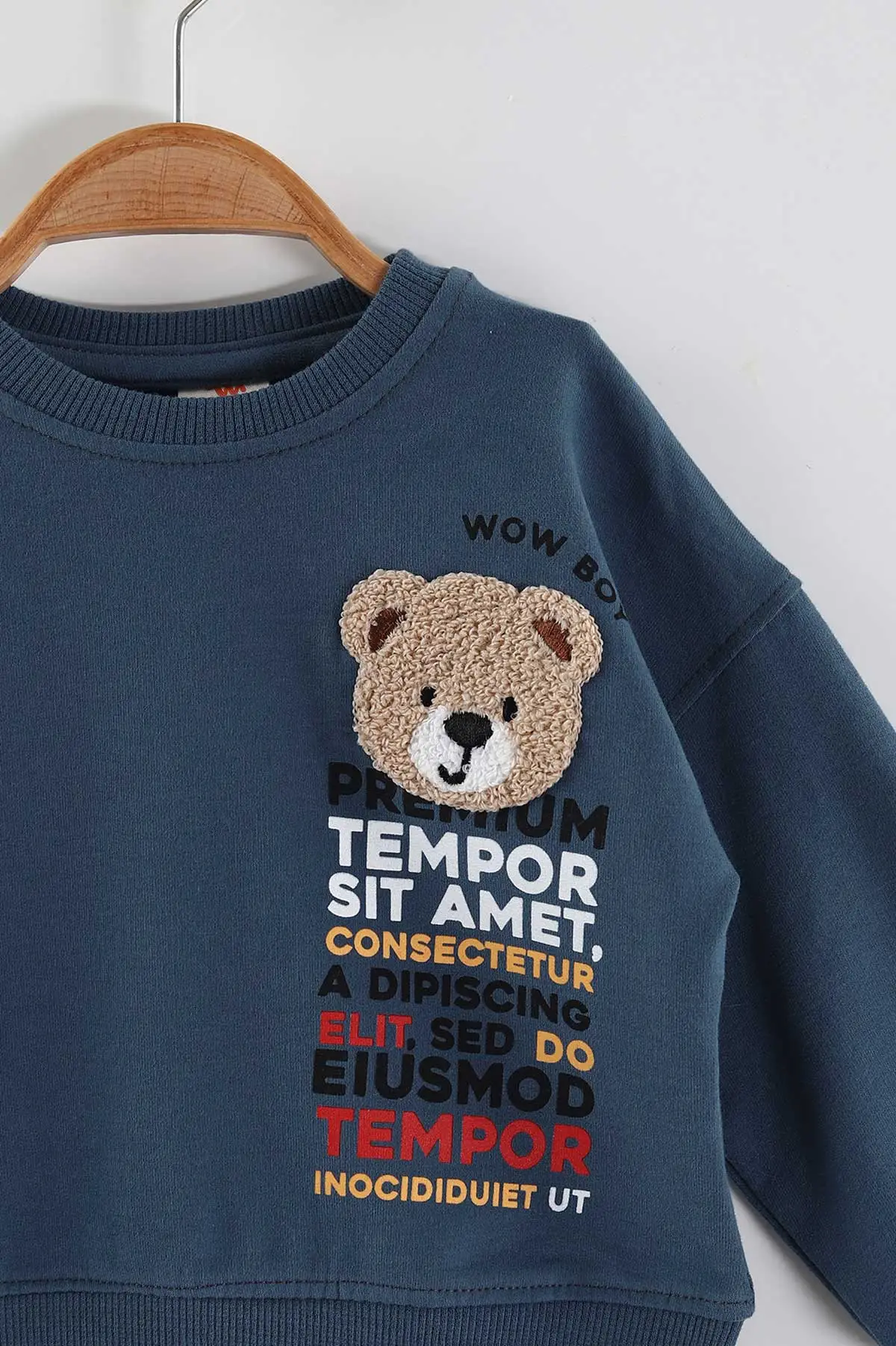 İndigo (1-4 Yaş)Süzene Nakışlı Baskılı Erkek Çocuk Sweatshirt 432906