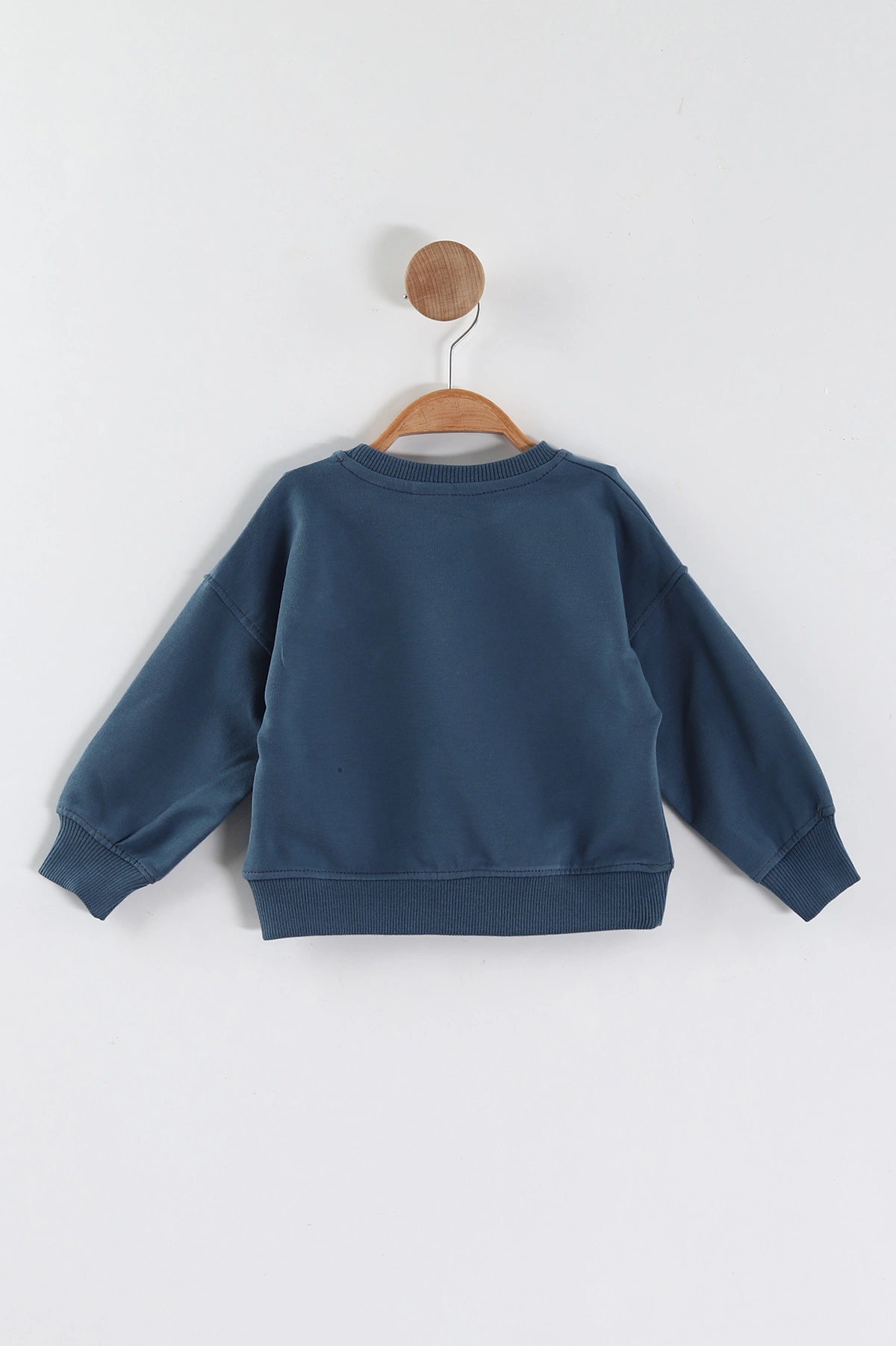 İndigo (1-4 Yaş)Süzene Nakışlı Baskılı Erkek Çocuk Sweatshirt 432906