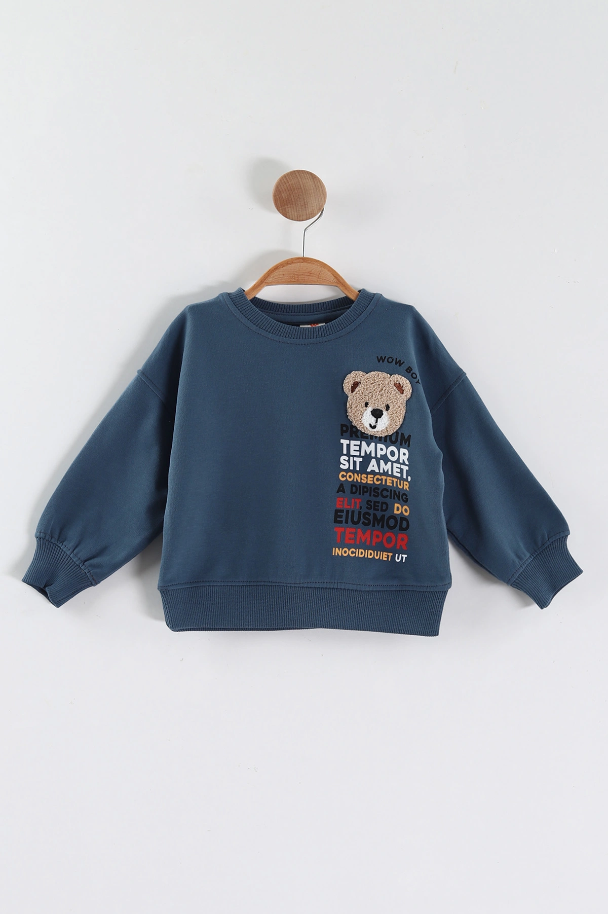 İndigo (1-4 Yaş)Süzene Nakışlı Baskılı Erkek Çocuk Sweatshirt 432906