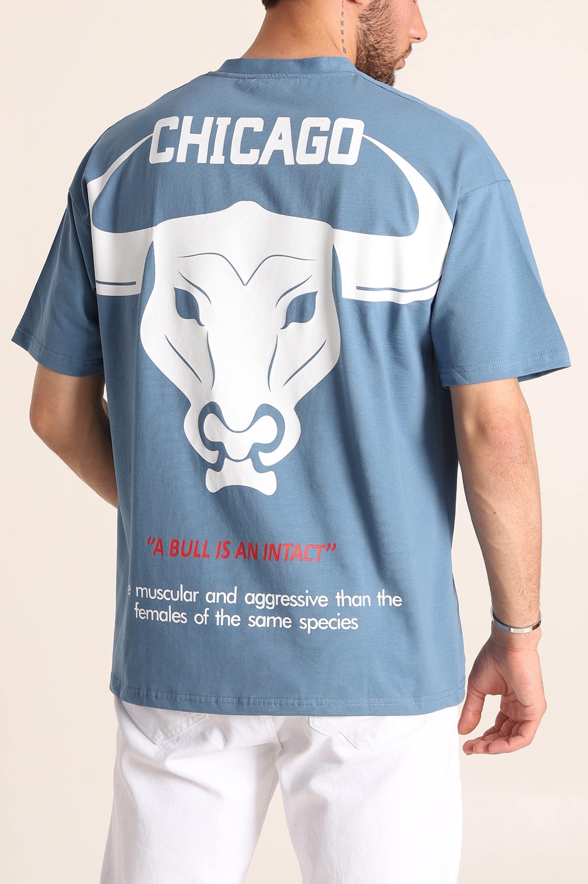İndigo Oversize Chicago Baskılı Erkek Tişört 181407