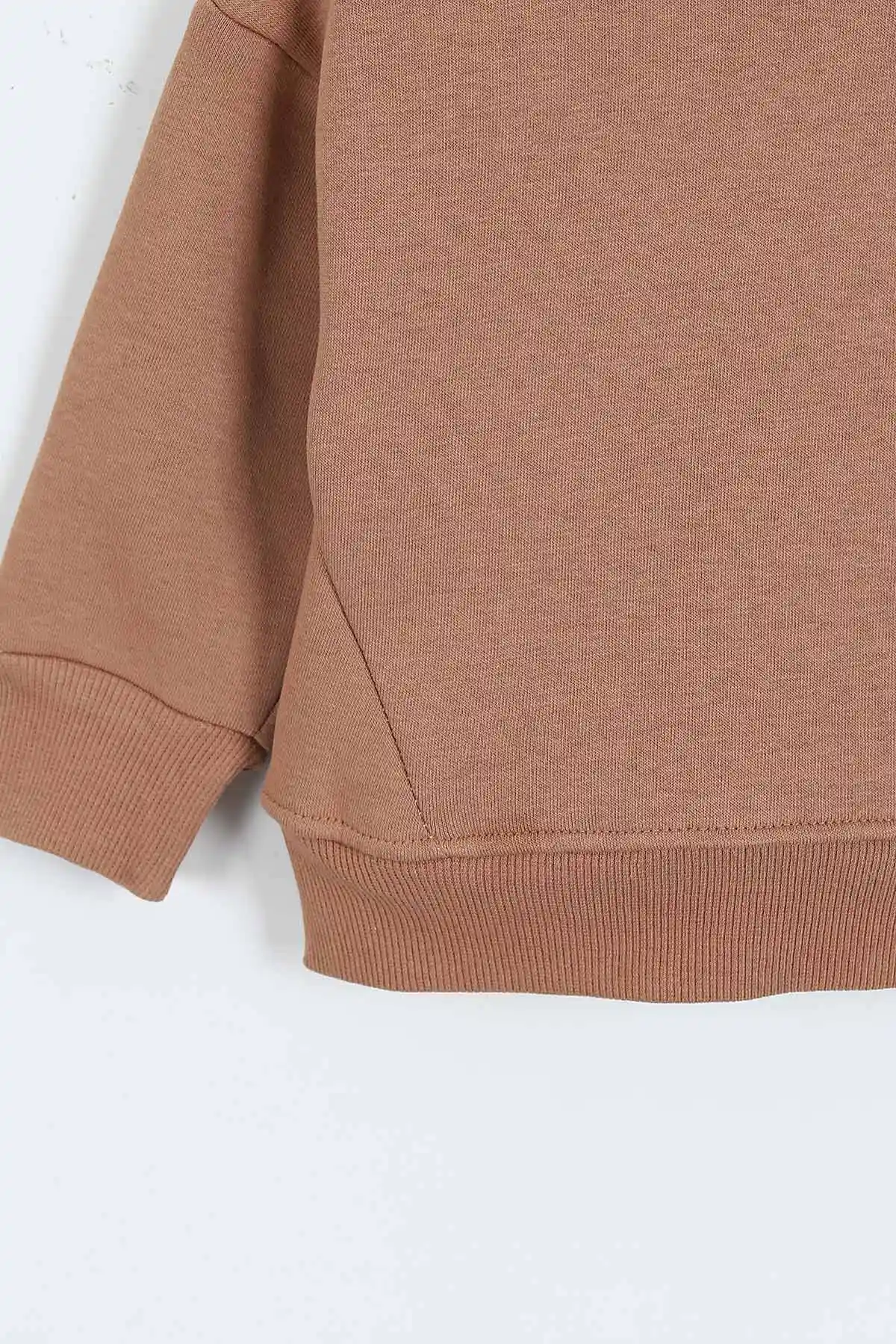 Kahve (0-4 Yaş)Rawr Baskılı  3  İp Şardonlu Erkek Çocuk Sweatshirt 415032