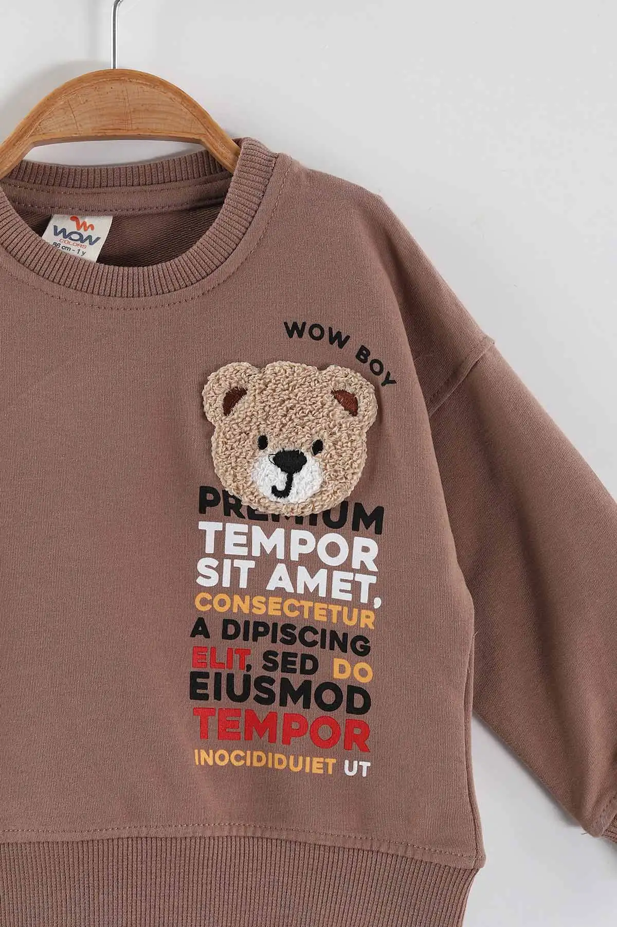 Kahve (1-4 Yaş)Süzene Nakışlı Baskılı Erkek Çocuk Sweatshirt 432902
