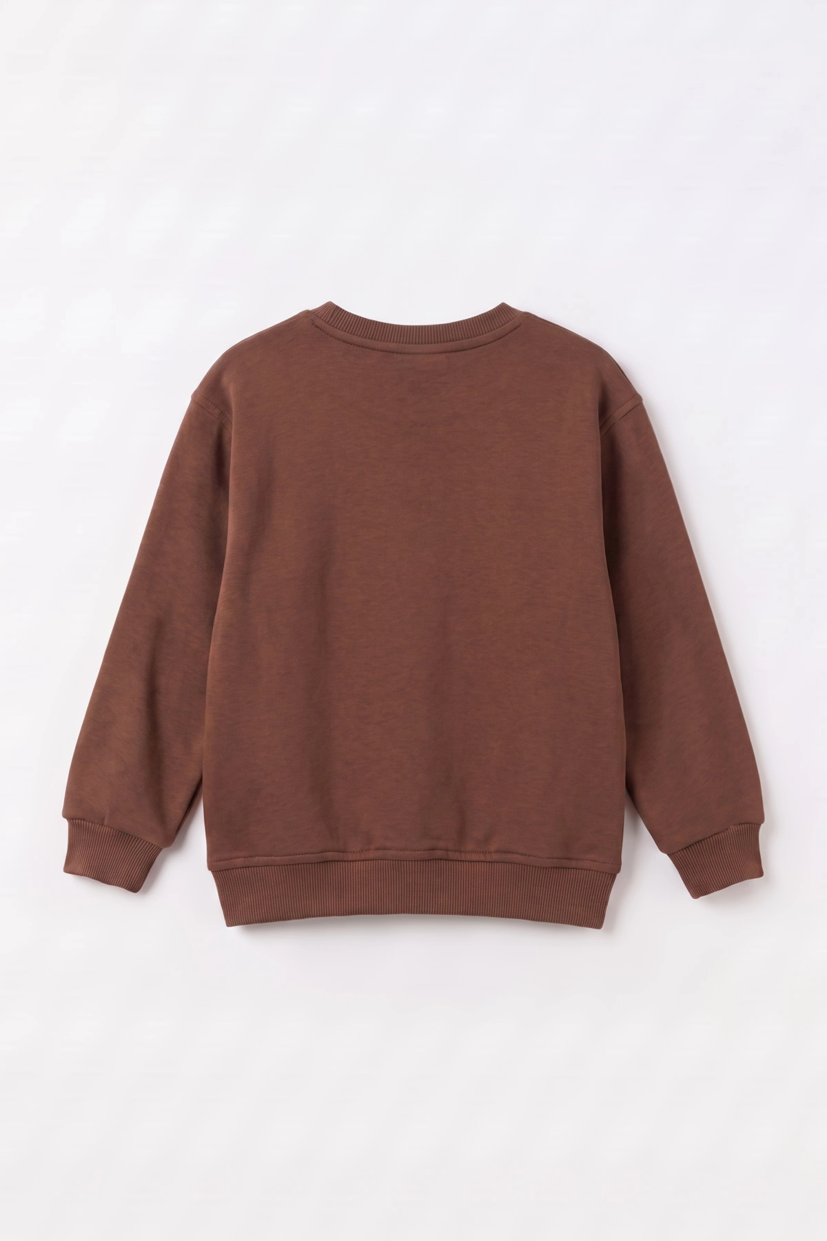 Kahve (2-12 Yaş) Theless Nakışlı İçi Şardonlu Erkek Çocuk Sweatshirt 483292