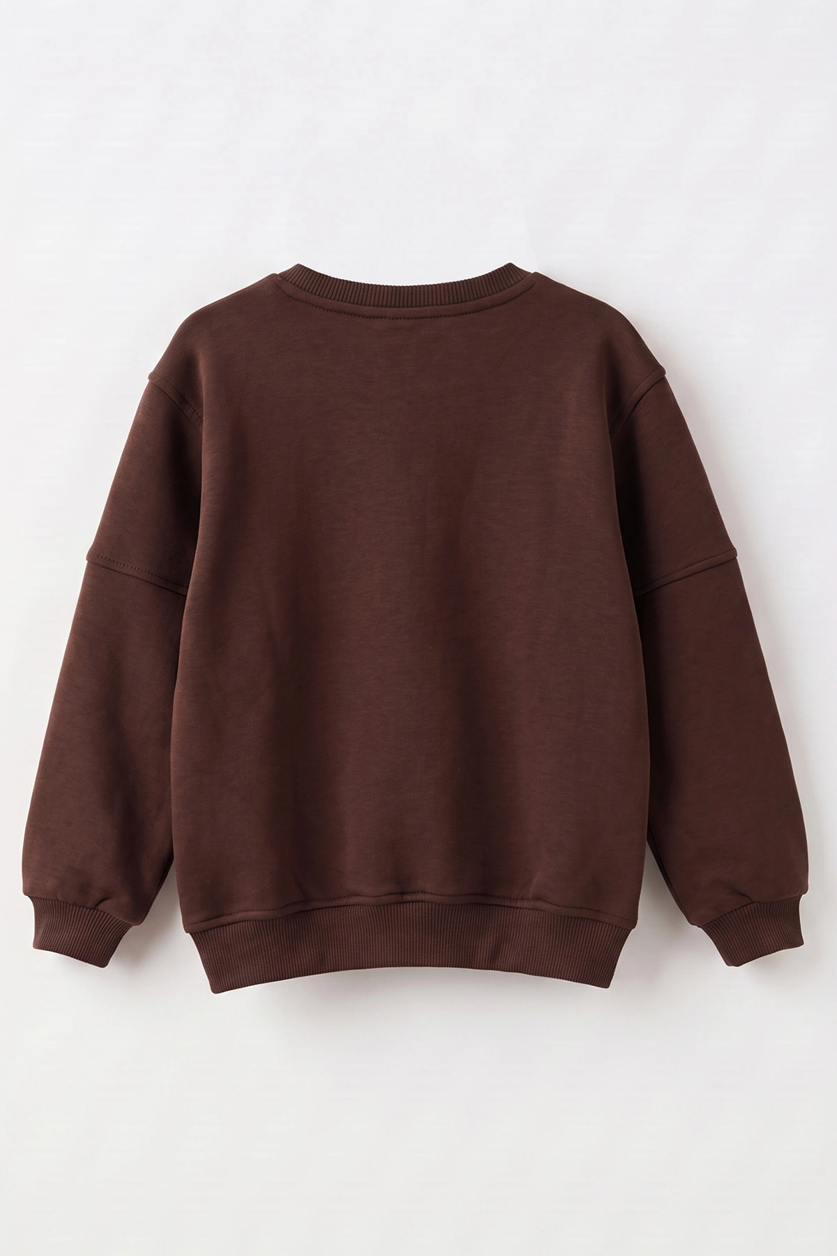 Kahverengi (2-12 Yaş) Confident Kabartma Baskılı 3 İp Şardonlu Erkek Çocuk Sweatshirt 486881