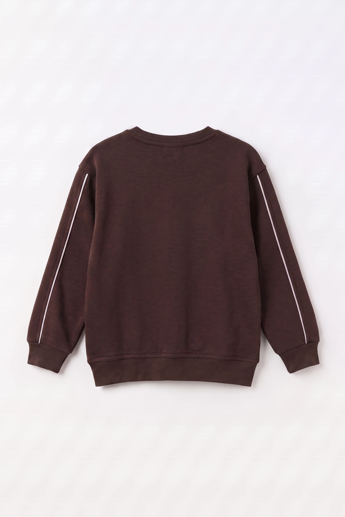 Kahverengi (2-12 Yaş) Theless Nakışlı İçi Şardonlu Erkek Çocuk Sweatshirt 483296