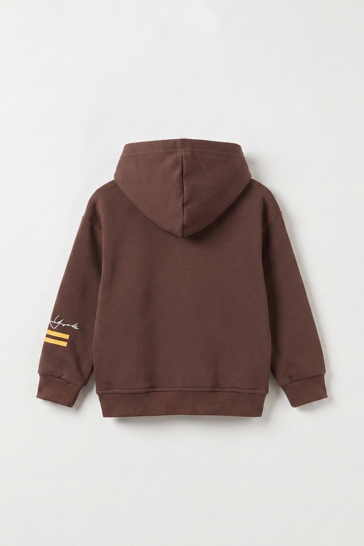 Kahverengi (3-12 Yaş) Baskılı 3 İp Şardonlu Kapüşonlu Erkek Çocuk Sweatshirt 473839
