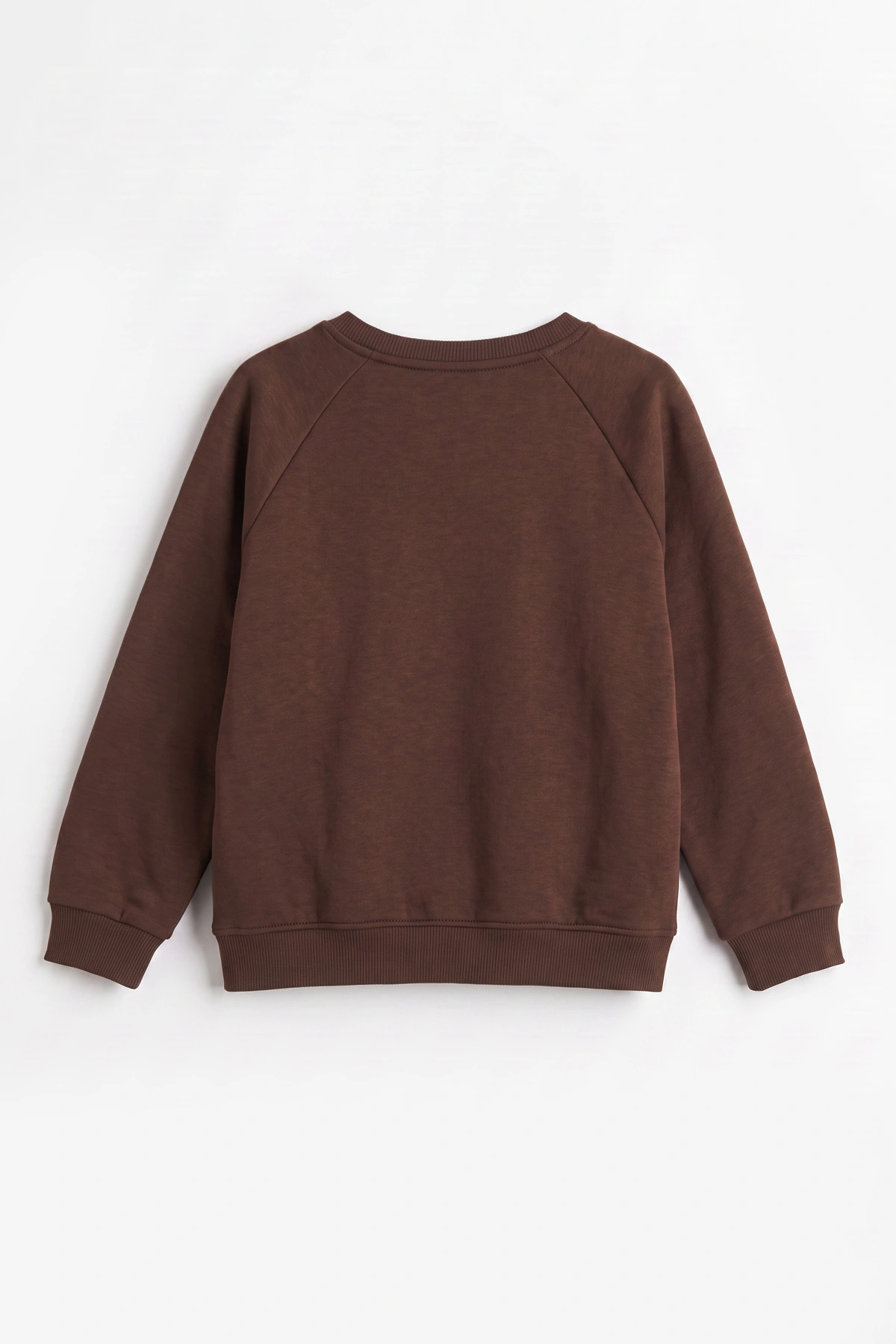 Kahverengi (4-12 Yaş ) Authentic Nakışlı 3 İp Şardonlu Erkek Çocuk Sweatshirt 486634