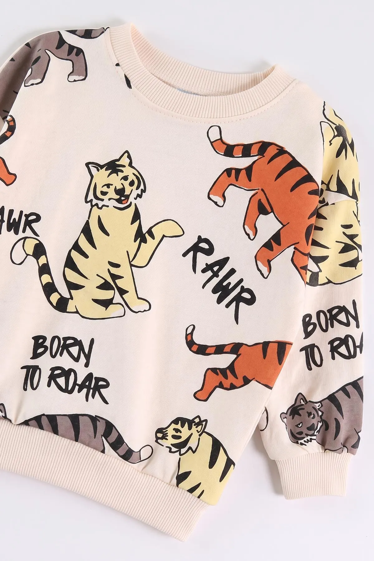 Kahverengi (9-24 Ay)Kaplan Baskılı Çıtçıtlı Erkek Bebek Takım 476260