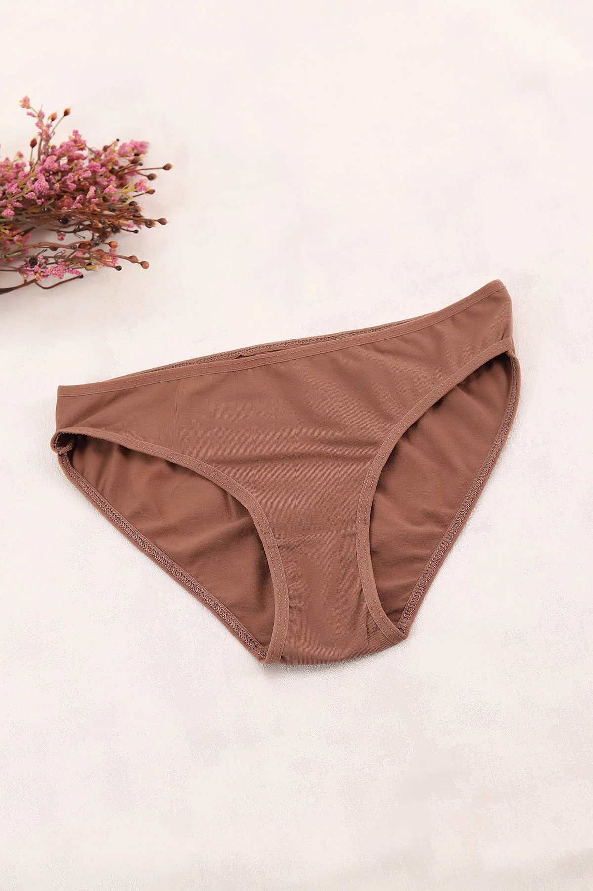Kahverengi CH0850 Pamuklu Kadın Bikini Külot 397410