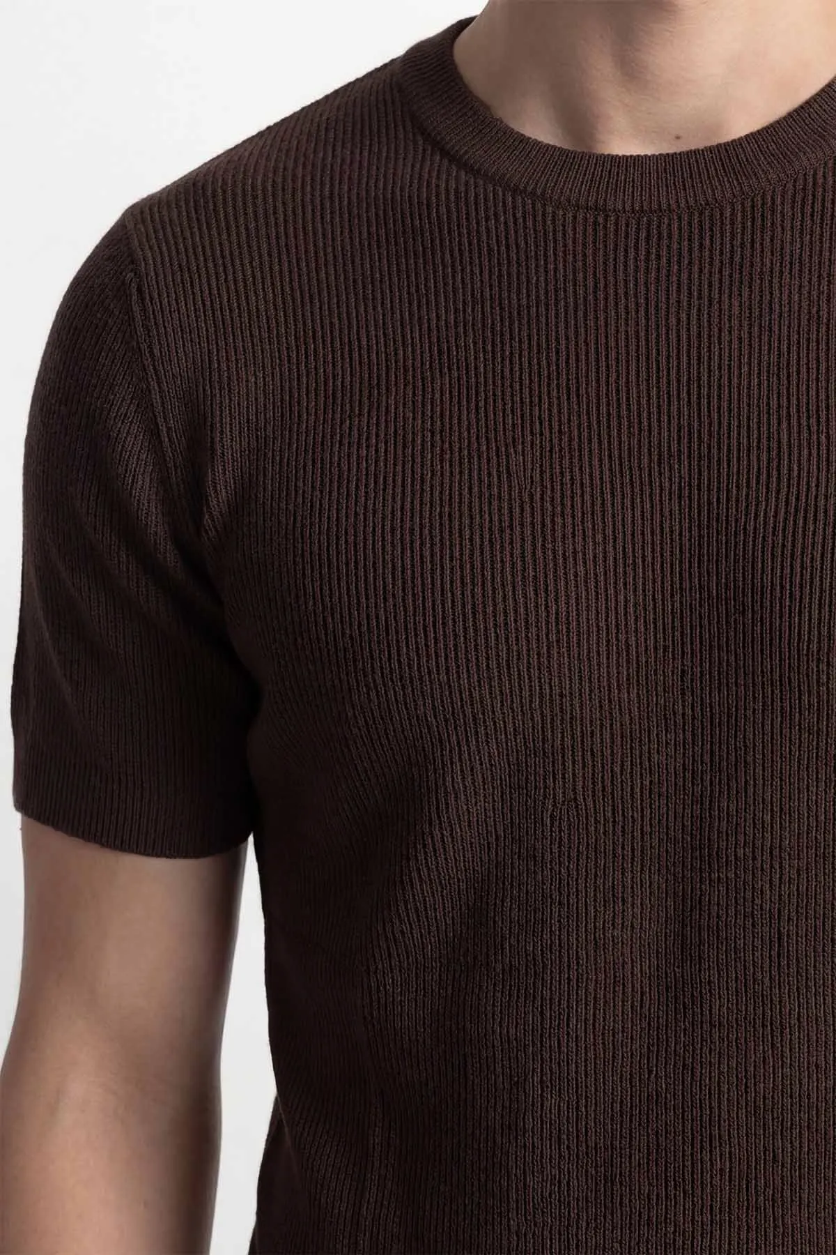 Kahverengi Slim Fit Bisiklet Yaka Triko Erkek Tişört 449044