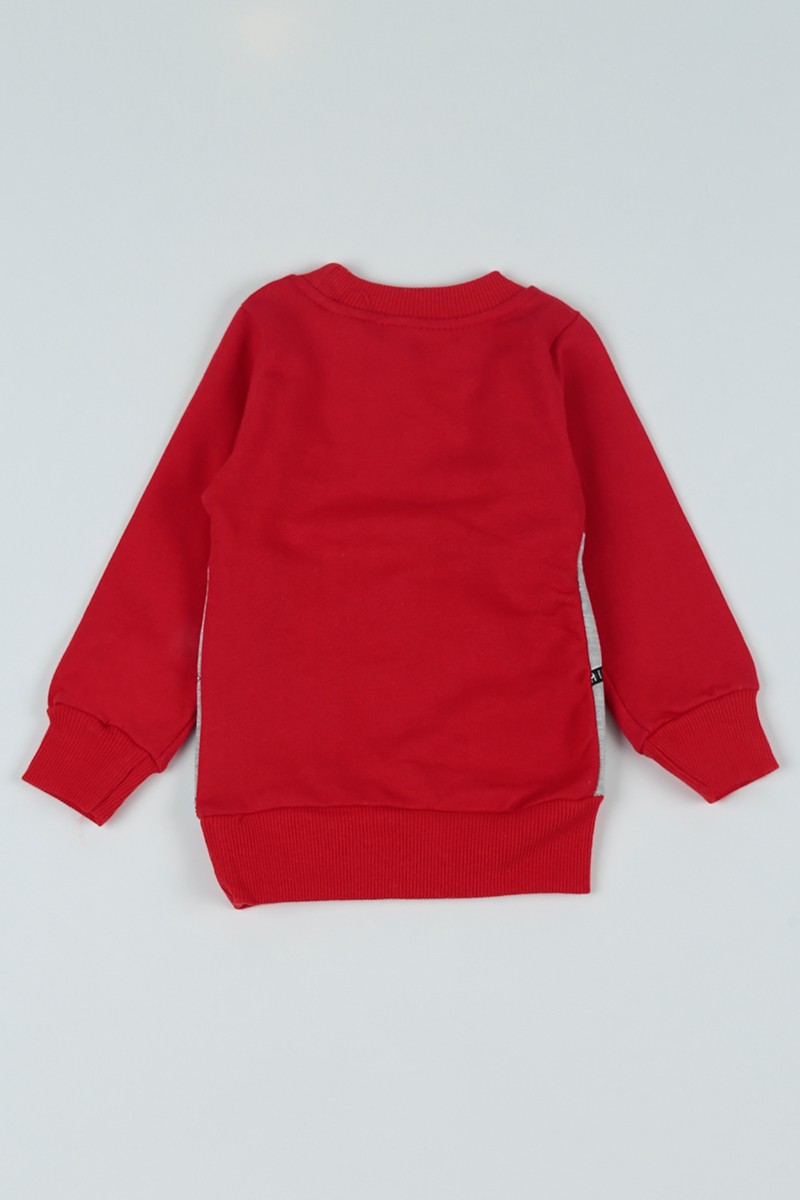 Kırmızı Birds Baskılı İçi Şardonlu Kız Çocuk Sweatshirt 80607