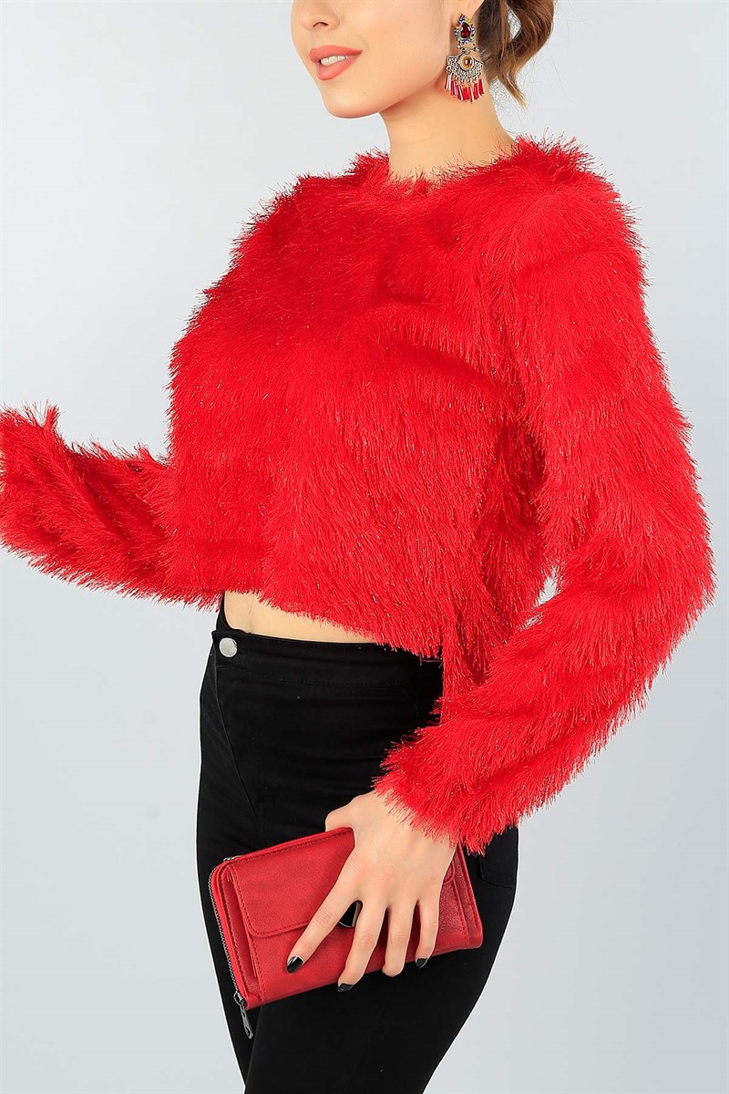 Kırmızı Sakallı Bayan Tasarım Bluz 47100