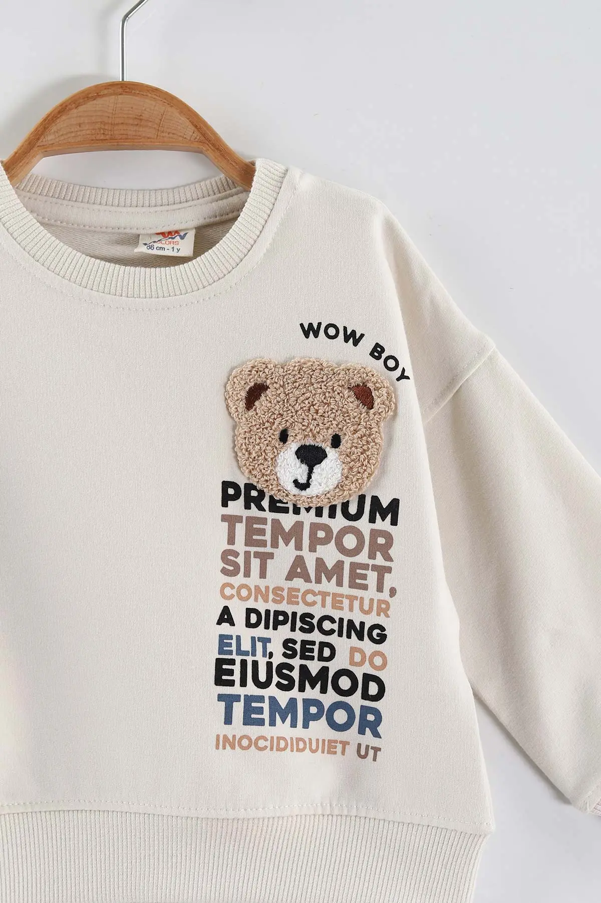 Krem (1-4 Yaş)Süzene Nakışlı Baskılı Erkek Çocuk Sweatshirt 432903