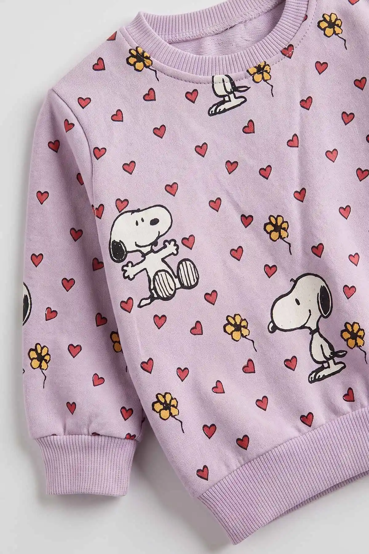 Lila (3-24 Ay) Kalpli Çiçekli Snoppy Baskılı 2 İp Kız Bebek Takım 483848