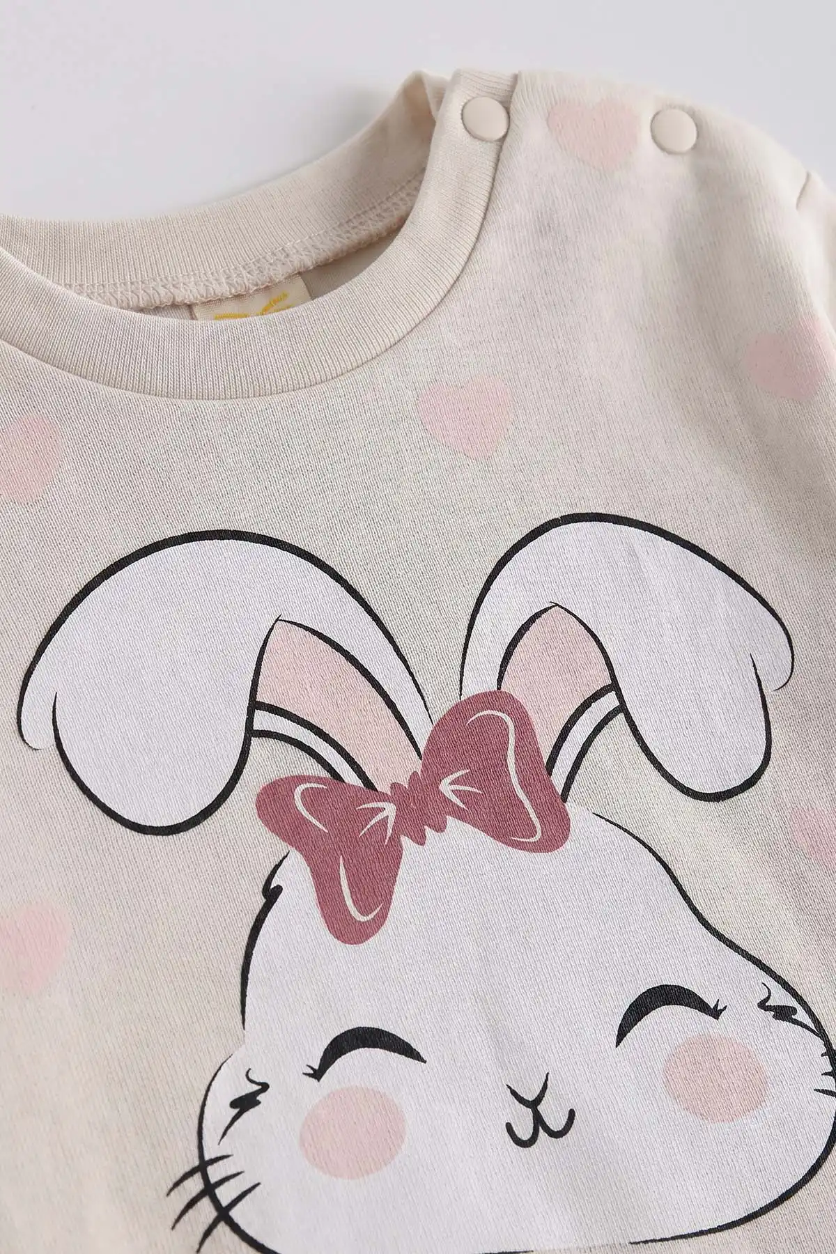 Lila (6-18 Ay)Tavşan Baskılı Çıtçıtlı Çimalı Kız Bebek takım 477410